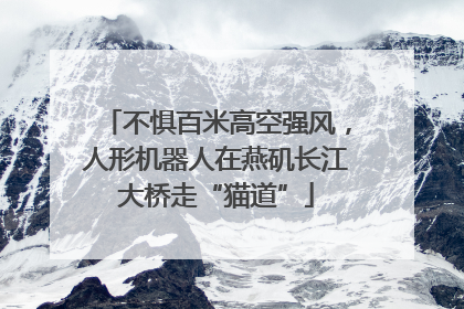 不惧百米高空强风，人形机器人在燕矶长江大桥走“猫道”