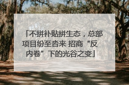 不拼补贴拼生态，总部项目纷至沓来 招商“反内卷”下的光谷之变