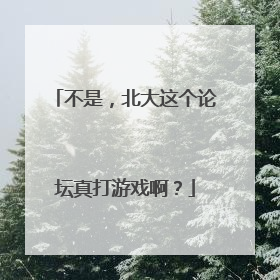 不是，北大这个论坛真打游戏啊？