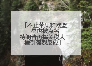 不止苹果和欧盟 三星也被点名 特朗普再挥关税大棒引强烈反应