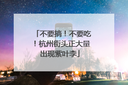 不要摘！不要吃！杭州街头正大量出现紫叶李