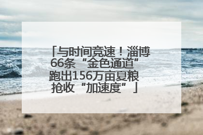 与时间竞速！淄博66条“金色通道”跑出156万亩夏粮抢收“加速度”