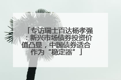 专访瑞士百达杨孝强：新兴市场债券投资价值凸显，中国债券适合作为“稳定器”