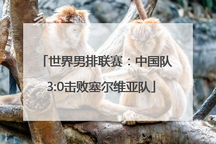 世界男排联赛：中国队3:0击败塞尔维亚队