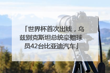 世界杯首次出线，乌兹别克斯坦总统豪赠球员42台比亚迪汽车
