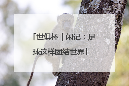 世俱杯｜闲记：足球这样团结世界