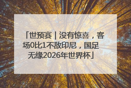 世预赛｜没有惊喜，客场0比1不敌印尼，国足无缘2026年世界杯