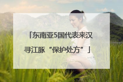 东南亚5国代表来汉寻江豚“保护处方”