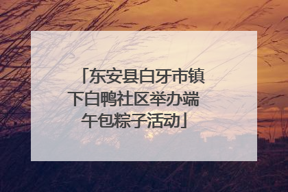 东安县白牙市镇下白鸭社区举办端午包粽子活动