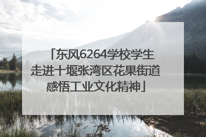 东风6264学校学生走进十堰张湾区花果街道感悟工业文化精神