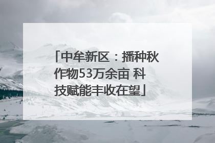 中牟新区：播种秋作物53万余亩 科技赋能丰收在望