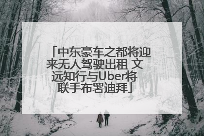 中东豪车之都将迎来无人驾驶出租 文远知行与Uber将联手布署迪拜