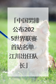 中国男排公布2025世界联赛首站名单 江川出任队长