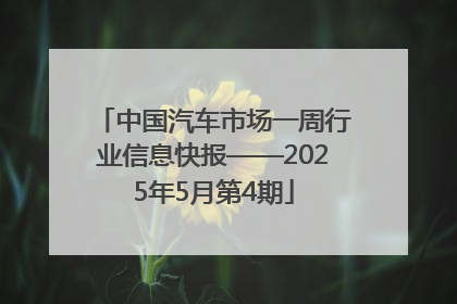 中国汽车市场一周行业信息快报——2025年5月第4期