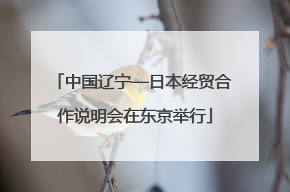 中国辽宁—日本经贸合作说明会在东京举行