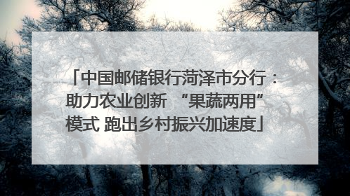 中国邮储银行菏泽市分行：助力农业创新 “果蔬两用”模式 跑出乡村振兴加速度