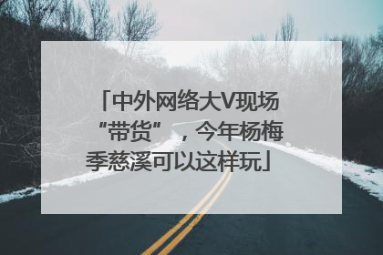 中外网络大V现场“带货”，今年杨梅季慈溪可以这样玩