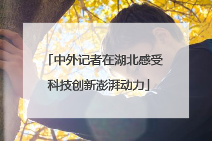中外记者在湖北感受科技创新澎湃动力