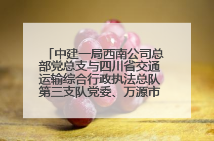 中建一局西南公司总部党总支与四川省交通运输综合行政执法总队第三支队党委、万源市草坝镇莲花院村党支部开展党建联建