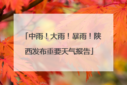 中雨！大雨！暴雨！陕西发布重要天气报告