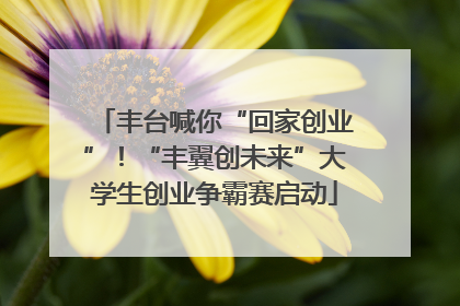 丰台喊你“回家创业”！“丰翼创未来”大学生创业争霸赛启动