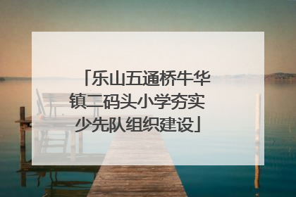 乐山五通桥牛华镇二码头小学夯实少先队组织建设