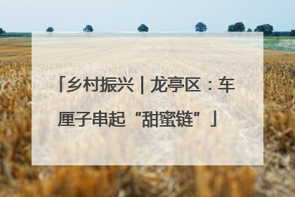 乡村振兴｜龙亭区：车厘子串起“甜蜜链”