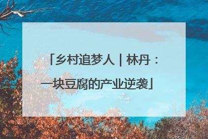 乡村追梦人｜林丹：一块豆腐的产业逆袭
