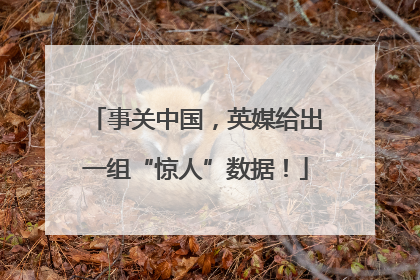 事关中国，英媒给出一组“惊人”数据！