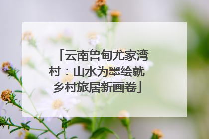 云南鲁甸尤家湾村：山水为墨绘就乡村旅居新画卷