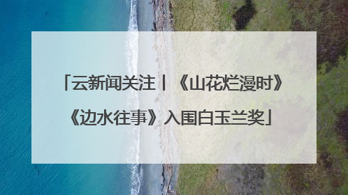 云新闻关注丨《山花烂漫时》《边水往事》入围白玉兰奖