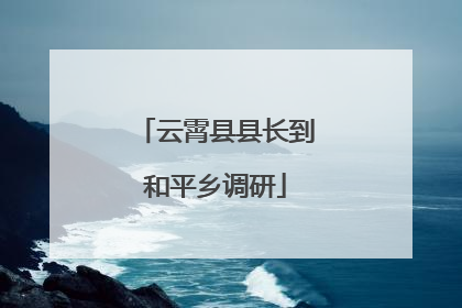 云霄县县长到和平乡调研