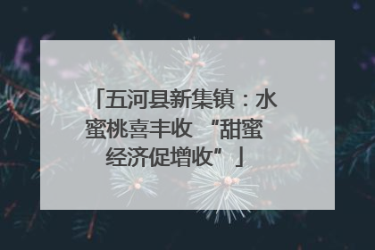 五河县新集镇：水蜜桃喜丰收 “甜蜜经济促增收”