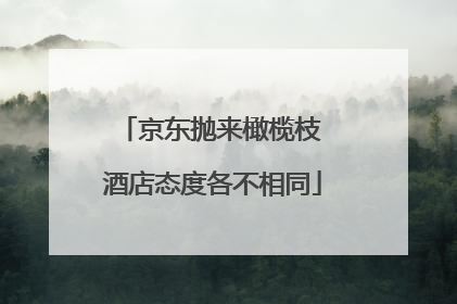 京东抛来橄榄枝 酒店态度各不相同