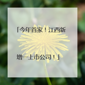 今年首家！江西新增一上市公司！