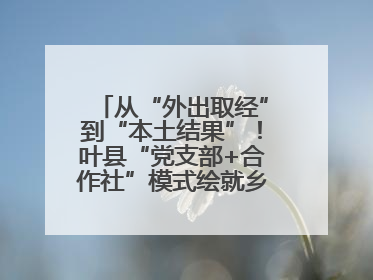 从“外出取经”到“本土结果”！叶县“党支部+合作社”模式绘就乡村振兴新图景