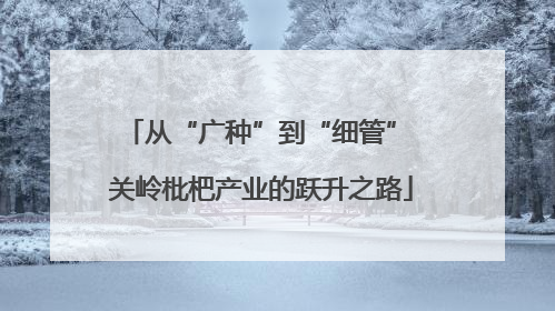从“广种”到“细管” 关岭枇杷产业的跃升之路
