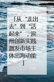 从“走出去”到“活起来”，滨州创新实践激发市场主体出海动能