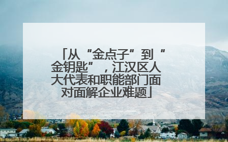 从“金点子”到“金钥匙”，江汉区人大代表和职能部门面对面解企业难题