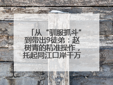 从“驯服抓斗”到带出9徒弟：赵树青的精准操作，托起同江口岸千万吨过货量