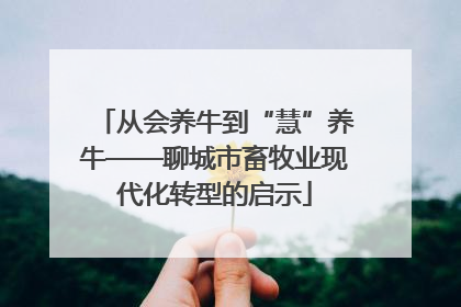 从会养牛到“慧”养牛——聊城市畜牧业现代化转型的启示