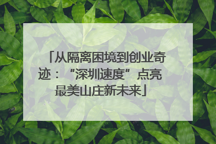 从隔离困境到创业奇迹：“深圳速度”点亮最美山庄新未来