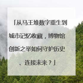 从马王堆数字重生到城市记忆收藏，博物馆创新之举如何守护历史、连接未来？