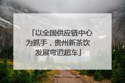 以全国供应链中心为抓手，贵州新茶饮发展弯道超车