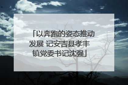 以奔跑的姿态推动发展 记安吉县孝丰镇党委书记沈强