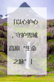 以心护心，守护雪域高原“生命之脉”