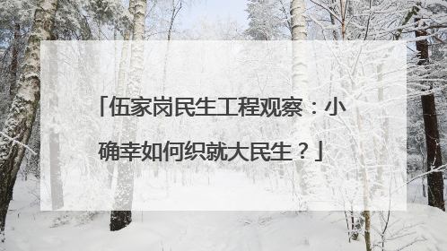 伍家岗民生工程观察：小确幸如何织就大民生？