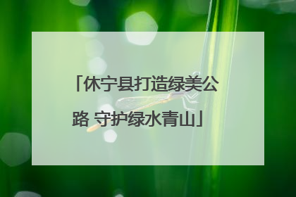 休宁县打造绿美公路 守护绿水青山