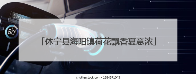 休宁县海阳镇荷花飘香夏意浓
