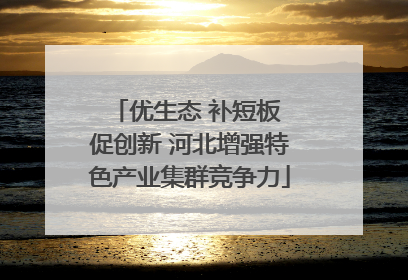 优生态 补短板 促创新 河北增强特色产业集群竞争力